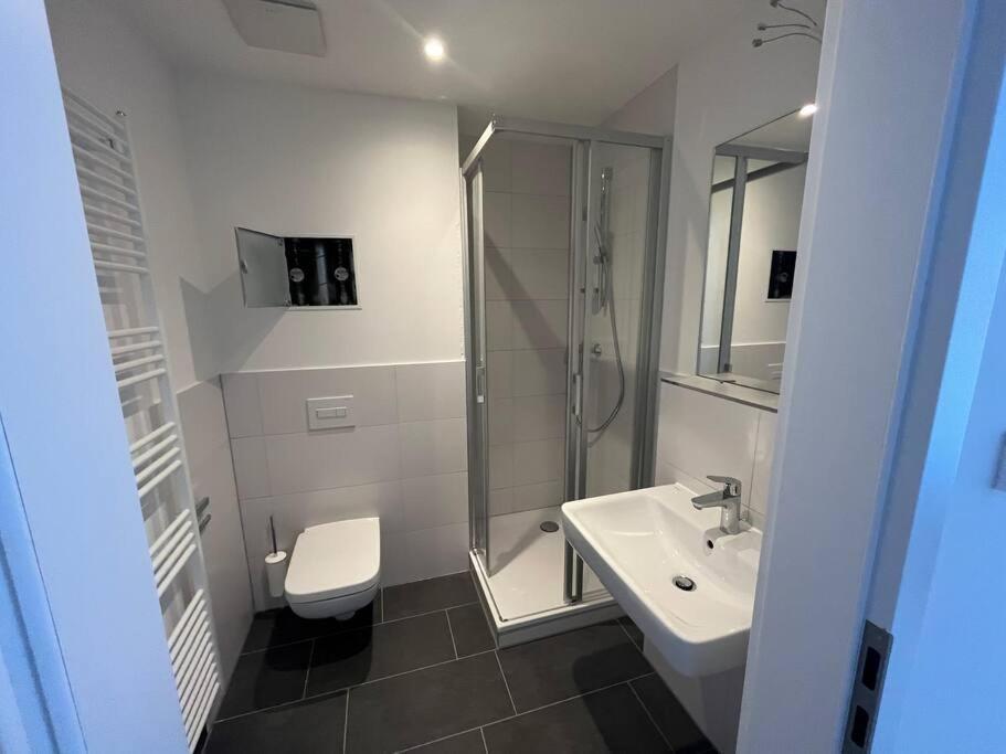 New Business Apartment Nr.20 Drezno Zewnętrze zdjęcie